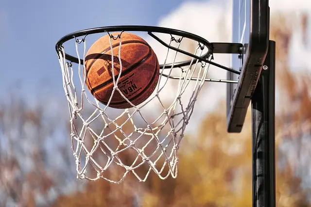 Les joueurs français à surveiller cette saison en NBA