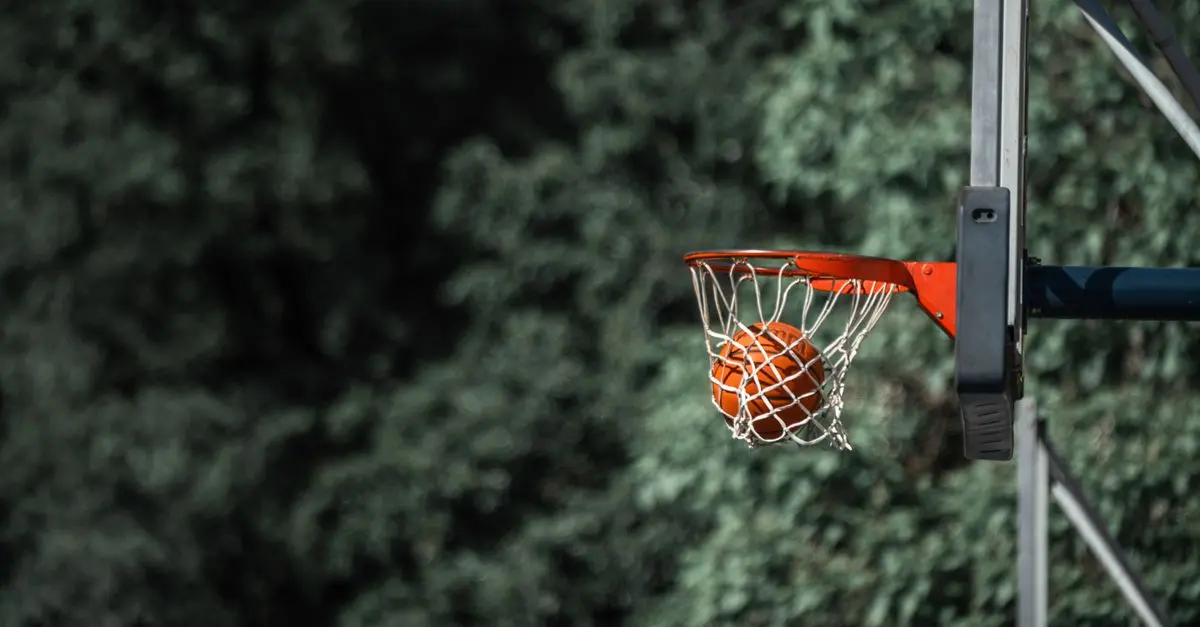 Les joueurs à suivre en NBA : talents émergents et vétérans